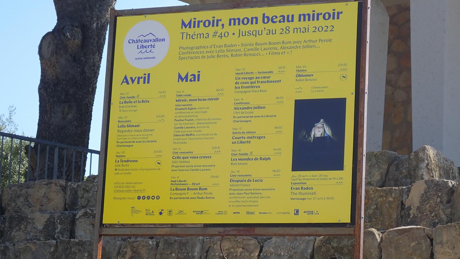11 Les spectacles.JPG